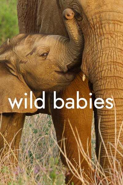 wilde.babies.s01.germkij4q.jpg