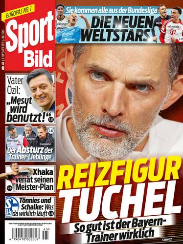 zazdn5.jpg