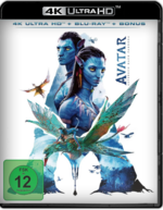428394726_cover.png