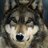 Maxiwolf