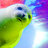 sealsmoke