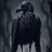 silentraven